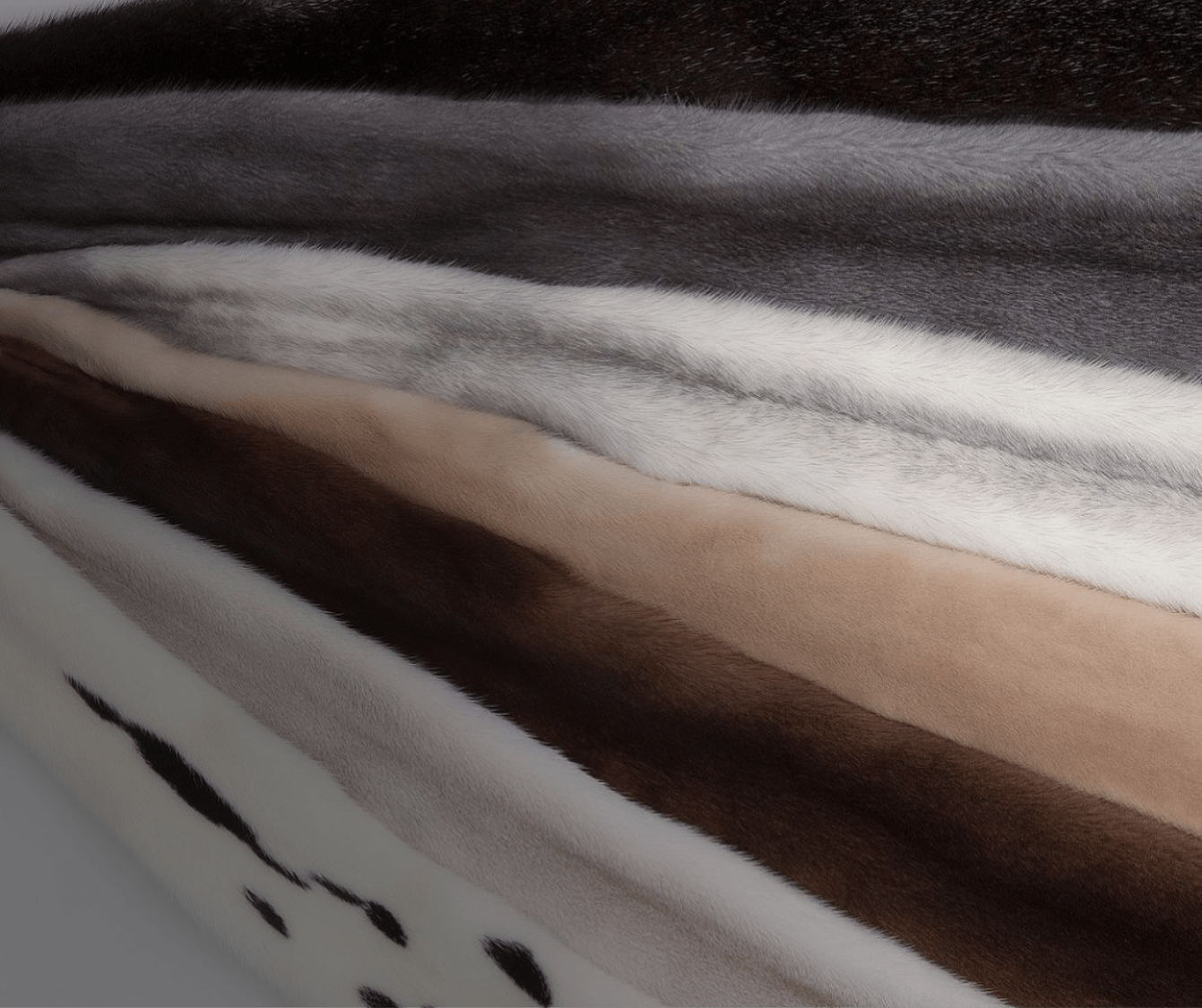 Fur Care - Guide